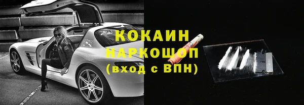 дмт Белокуриха