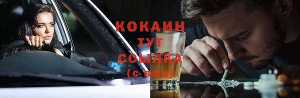 дмт Белокуриха