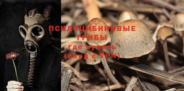 дмт Белокуриха
