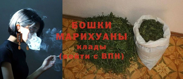 дмт Белокуриха