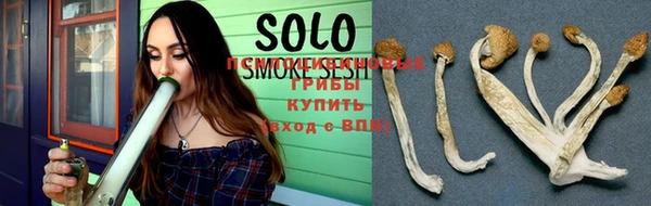 индика Балабаново