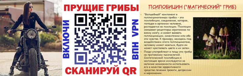 Галлюциногенные грибы Cubensis  Княгинино 