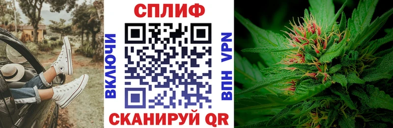 Каннабис гибрид  Княгинино 